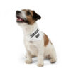 Custom Pet Bandana Collar - Image 3