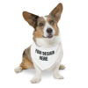 custom pet bandana collar