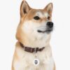 Custom Pet Tag - Image 3